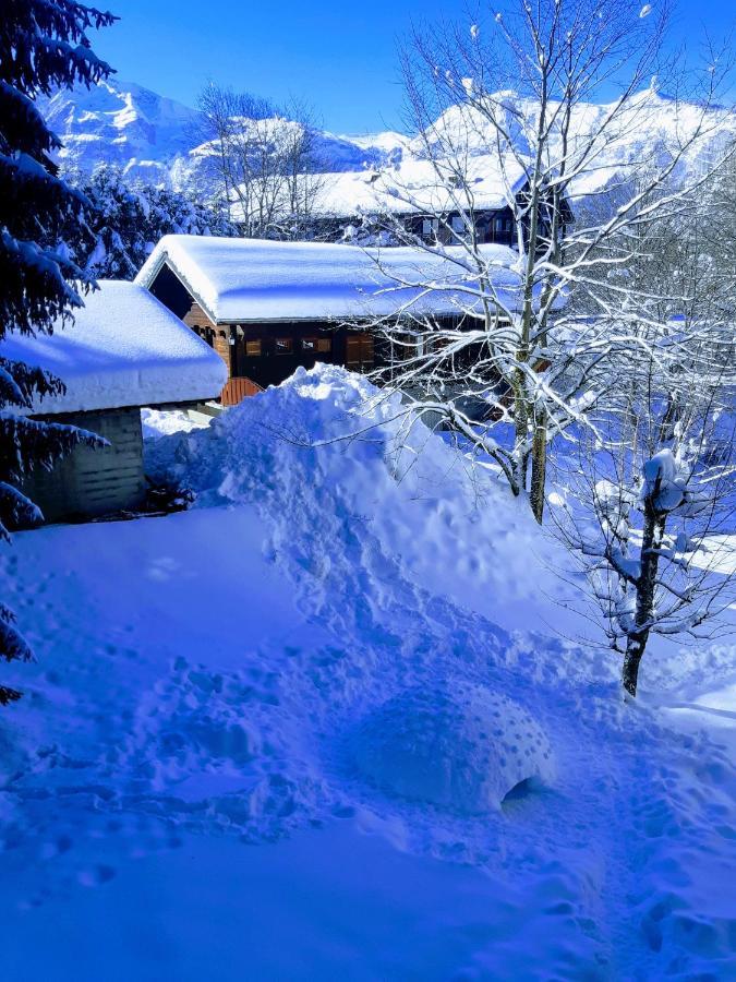 Appartement En Station De Ski A 700 M Des Telecabines Et 100 M Du Centre-Village 레 카로즈 다라세 외부 사진