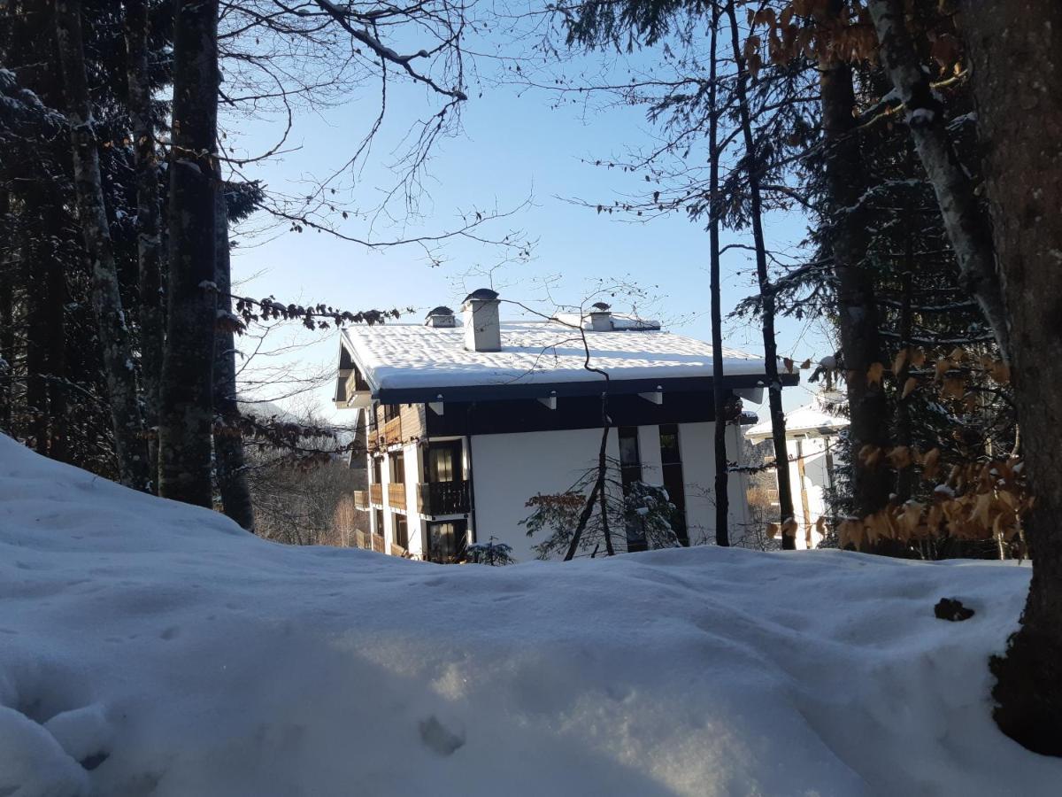 Appartement En Station De Ski A 700 M Des Telecabines Et 100 M Du Centre-Village 레 카로즈 다라세 외부 사진