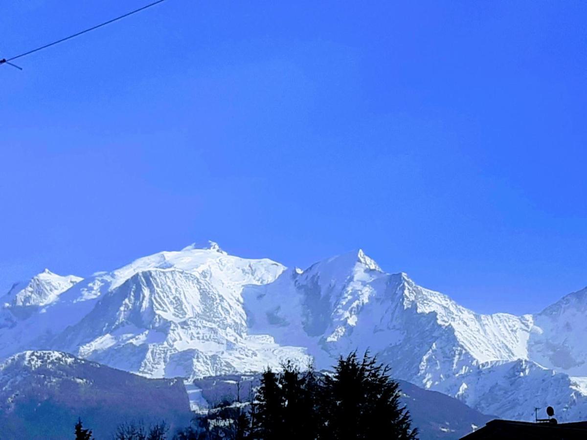 Appartement En Station De Ski A 700 M Des Telecabines Et 100 M Du Centre-Village 레 카로즈 다라세 외부 사진